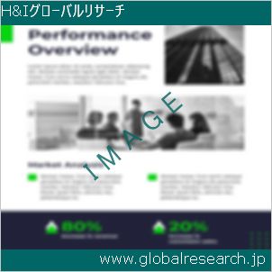 グローバルリサーチ調査レポートのイメージ